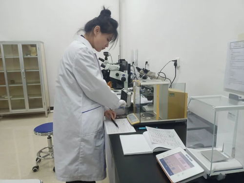 黑龙江省伊春市市场监管局举办2023年世界计量日信息技术咨询服务活动